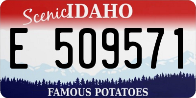 ID license plate E509571