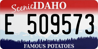 ID license plate E509573