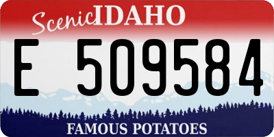 ID license plate E509584