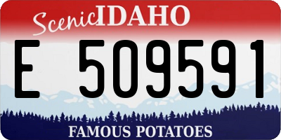 ID license plate E509591