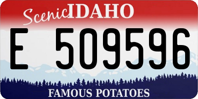 ID license plate E509596