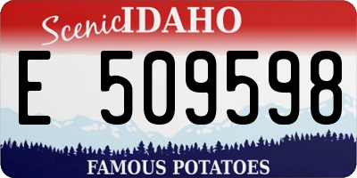ID license plate E509598