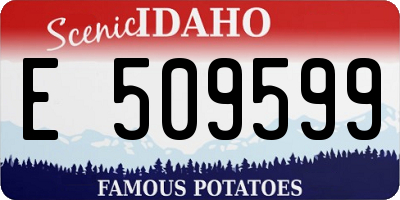 ID license plate E509599