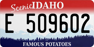 ID license plate E509602
