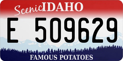 ID license plate E509629