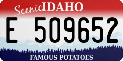 ID license plate E509652