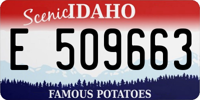 ID license plate E509663
