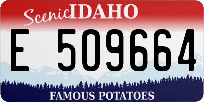ID license plate E509664