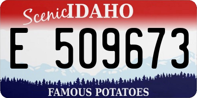 ID license plate E509673
