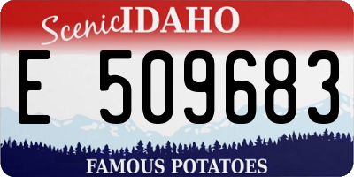 ID license plate E509683