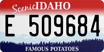 ID license plate E509684