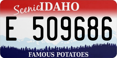 ID license plate E509686