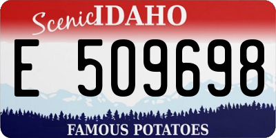 ID license plate E509698