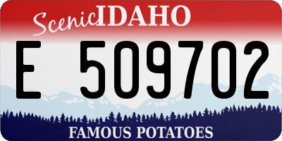 ID license plate E509702