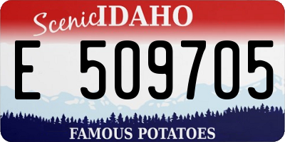 ID license plate E509705