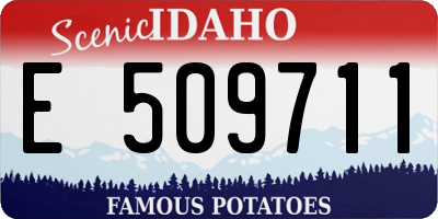 ID license plate E509711