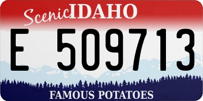 ID license plate E509713