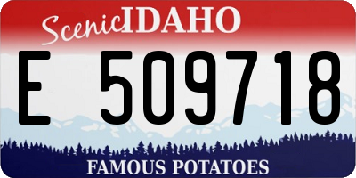 ID license plate E509718