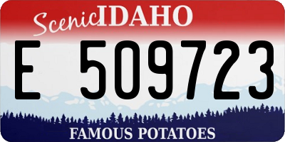 ID license plate E509723