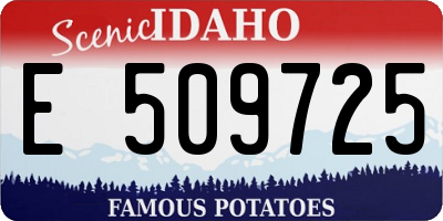 ID license plate E509725
