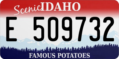 ID license plate E509732