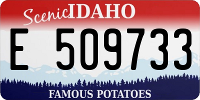 ID license plate E509733