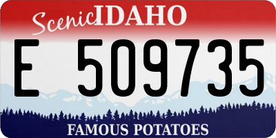 ID license plate E509735
