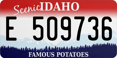 ID license plate E509736