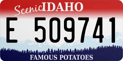 ID license plate E509741