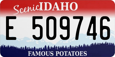 ID license plate E509746