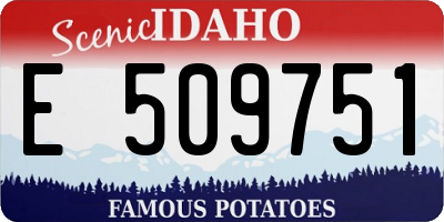 ID license plate E509751