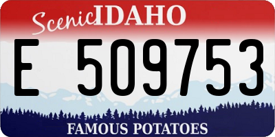 ID license plate E509753