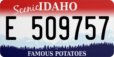 ID license plate E509757