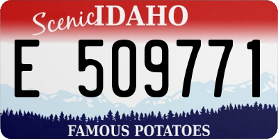 ID license plate E509771