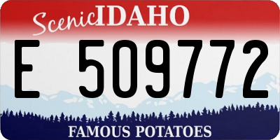 ID license plate E509772