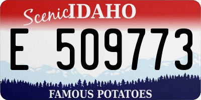 ID license plate E509773