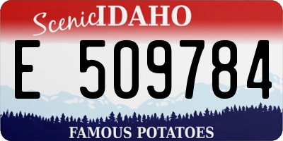 ID license plate E509784