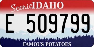 ID license plate E509799