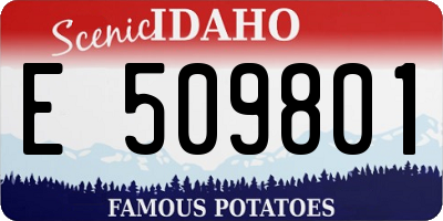 ID license plate E509801