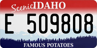 ID license plate E509808