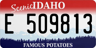ID license plate E509813