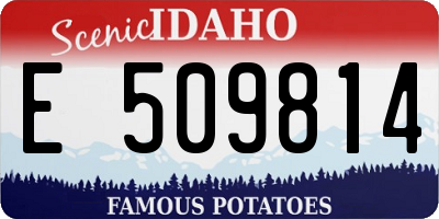 ID license plate E509814