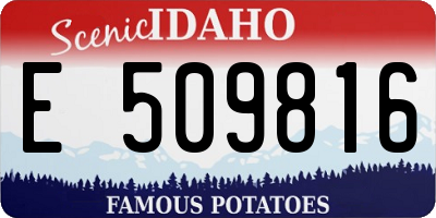 ID license plate E509816