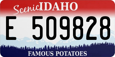 ID license plate E509828