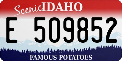 ID license plate E509852