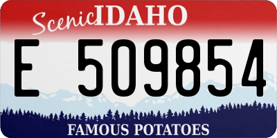 ID license plate E509854