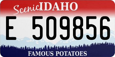 ID license plate E509856