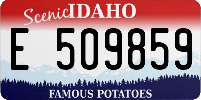 ID license plate E509859
