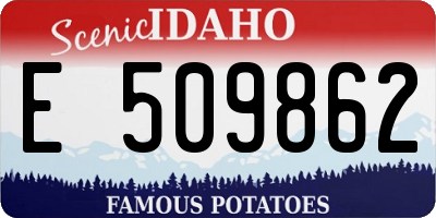 ID license plate E509862