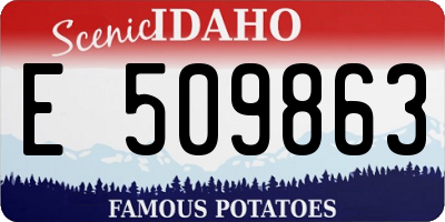 ID license plate E509863